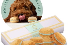 Selling: Mint Dog Macarons - Count 6