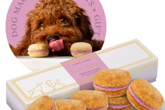Selling: Raspberry Dog Macarons - Count 6