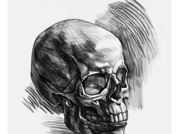 Sell Artworks: Skull