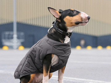Selling: Sustainable Dog Jacket Vest Gray L