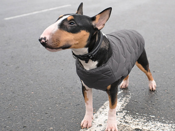 Selling: Sustainable Dog Jacket Vest Gray XS-2