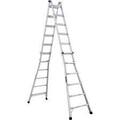 Renting Per Day: 22ft Extension Ladder