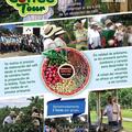 Servicios: Tour Jornal Cafetero / Alojamiento Rural