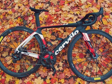 Selling with online payment: Cervelo S5 Custom build 