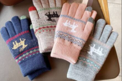 Comprar ahora: Ladies Warm Christmas Gloves – Assorted Style