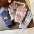 Buy Now: Ladies Warm Christmas Gloves – Assorted Style