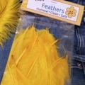 Comprar ahora: 12 Packs of 25 Yellow Craft Feathers