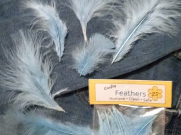 Comprar ahora: 12 Packages of 25 Blue Feathers 3"-8" long