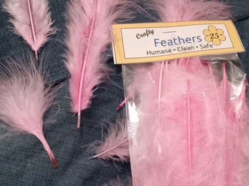 Buy Now: 12 Packs of 25 Pink Feathers 3" to 8"