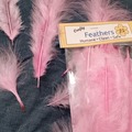 Buy Now: 12 Packs of 25 Pink Feathers 3" to 8"