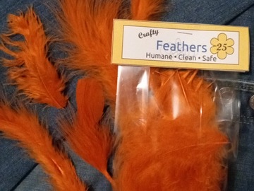 Buy Now: 12 Packages of 25 Orange 3"- 8" Feathers 