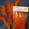 Comprar ahora: 12 Packages of 25 Orange 3"- 8" Feathers 
