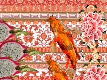  : Dragonfruit Koi- Giclee Art Print
