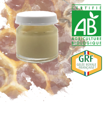 Gelée Royale Française Bio 