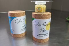 Les miels : Gelée Royale Française Bio 