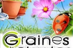 Demande: Recherche plantes, graines, jardinières balcon, terreau