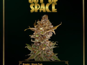  : Color Out of Space Regular Photoperiod Cannabis Seed