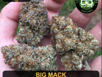  : Big Mack Regular Photoperiod Cannabis Seed