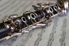 Offering without online payment: Woodwind lessons