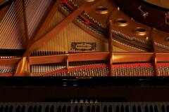Offering with online payment: Piano,Classical Guitar, Music Composition Lessons
