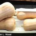 pay online or by mail: Butternut Squash