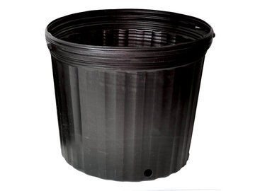  : #2 Softpot 8.5''x8.5'' Plastic Pot 1.64 Gallon