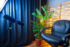 Renting out: Basic StudioTime