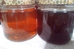 Les miels : miel de Garrigue