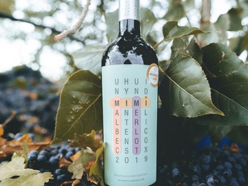 Venta: Bodega Araujo