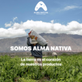 Venta: Alma Nativa