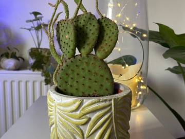 Sales: Cactus raquette et cache pot fait main