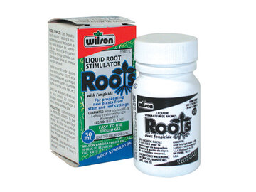  : Wilson Roots 50 ml Cloning Jel