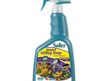  : Safer Insect Soap RTU 32 oz