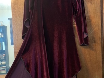 Selling with online payment: Super Soft Velvet High Low Renaissance Dress