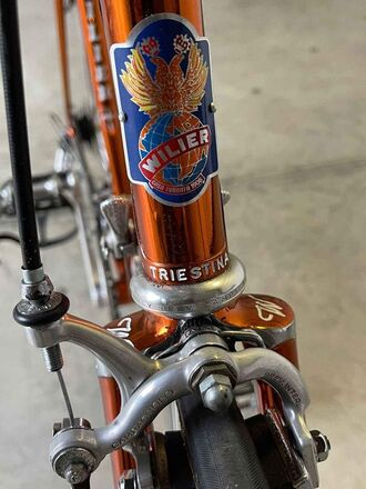 Wilier ramata top