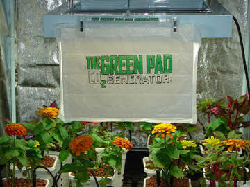  : Green Pad 5 Pk.