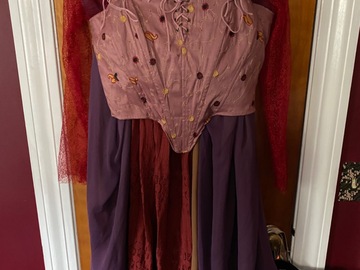 Selling with online payment: Sarah Sanderson Deluxe Costume