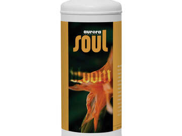  : Soul Synthetics Bloom Qt