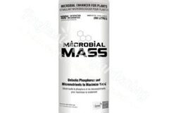  : Miicrobial Mass
