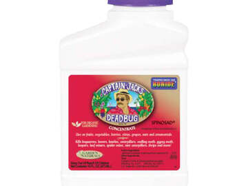  : Captain Jack's Dead Bug Brew Organic Insecticide
