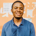 Serviços de Freelancer: Web Developer, WordPress & E-commerce Expert based in Cameroun