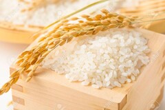  유료 서비스: 쌀 판매 및 집까지 배송해드립니다!