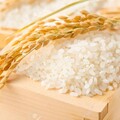  유료 서비스: 쌀 판매 및 집까지 배송해드립니다!