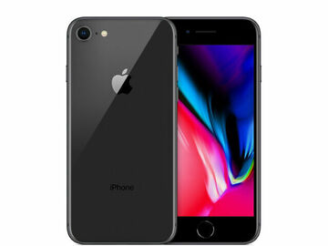 Renting out with online payment: iPhone 8 (64GB)