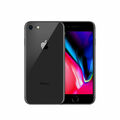 Renting out with online payment: iPhone 8 (64GB)