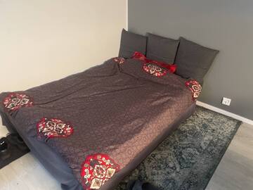 Selling: IKEA Asarum Bed-sofa