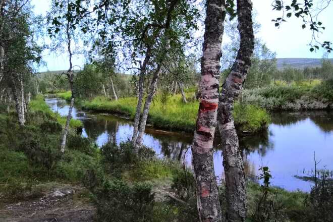 Kotateltta ja kamina 