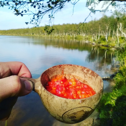 Kotateltta ja kamina 