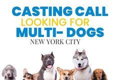 Casting call: CLOSED! Multi dog photo shoot NYC Casting call
