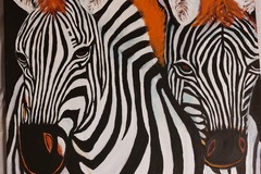Solicitando: Zebra clowns $800.00